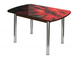 Стол обеденный Бостон 2 брифинг гербера