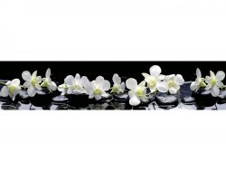 Кухонный фартук глянцевый SP-091