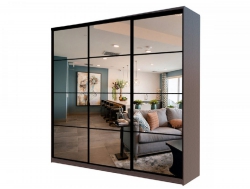 Шкаф-купе Max МШ-23-6-24/2-555-В венге